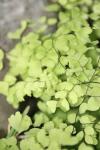 <img100*0:stuff/z/73640/spring%2520upload%25202/i1264711130_7.jpg>