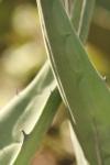 <img100*0:stuff/z/73640/spring%2520upload%25202/i1264711130_8.jpg>