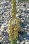 <img100*0:stuff/z/73640/spring%2520upload%25202/i1264711130_9.jpg>