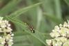 <img100*0:stuff/z/73640/spring%2520upload%25203/i1264712500_20.jpg>