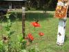 <img100*0:stuff/z/73640/spring%2520upload%25205/i1264723056_12.jpg>