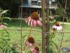 <img100*0:stuff/z/73640/spring%2520upload%25205/i1264723056_3.jpg>