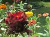 <img100*0:stuff/z/73640/spring%2520upload%25205/i1264734550_30.jpg>