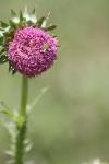 <img100*0:stuff/z/73640/spring%2520upload%25206/i1264732404_6.jpg>