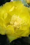 <img100*0:stuff/z/73640/spring%2520upload/i1263492811_3.jpg>