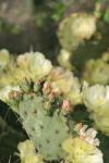 <img100*0:stuff/z/73640/spring%2520upload/i1263492811_4.jpg>