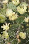 <img100*0:stuff/z/73640/spring%2520upload/i1263492811_5.jpg>