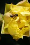 <img100*0:stuff/z/73640/spring%2520upload/i1263492812_10.jpg>
