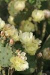 <img100*0:stuff/z/73640/spring%2520upload/i1263492812_14.jpg>