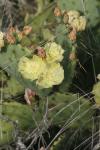 <img100*0:stuff/z/73640/spring%2520upload/i1263492812_6.jpg>