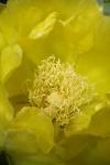 <img100*0:stuff/z/73640/spring%2520upload/i1263492812_8.jpg>
