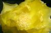 <img100*0:stuff/z/73640/spring%2520upload/i1263492812_9.jpg>