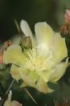 <img100*0:stuff/z/73640/spring%2520upload/i1263492813_15.jpg>