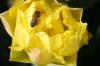 <img100*0:stuff/z/73640/spring%2520upload/i1263492813_16.jpg>