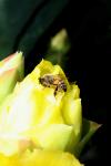 <img100*0:stuff/z/73640/spring%2520upload/i1263492813_18.jpg>