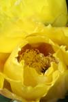 <img100*0:stuff/z/73640/spring%2520upload/i1263492813_19.jpg>