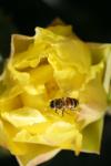 <img100*0:stuff/z/73640/spring%2520upload/i1263492813_20.jpg>