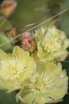 <img100*0:stuff/z/73640/spring%2520upload/i1263492813_21.jpg>