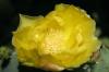 <img100*0:stuff/z/73640/spring%2520upload/i1263492813_23.jpg>