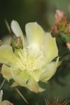 <img100*0:stuff/z/73640/spring%2520upload/i1263492814_25.jpg>