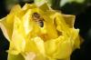 <img100*0:stuff/z/73640/spring%2520upload/i1263492814_26.jpg>