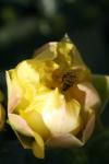 <img100*0:stuff/z/73640/spring%2520upload/i1263492814_27.jpg>