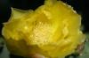 <img100*0:stuff/z/73640/spring%2520upload/i1263492814_28.jpg>