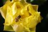 <img100*0:stuff/z/73640/spring%2520upload/i1263492814_30.jpg>