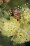 <img100*0:stuff/z/73640/spring%2520upload/i1263492814_31.jpg>