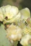 <img100*0:stuff/z/73640/spring%2520upload/i1263492815_33.jpg>