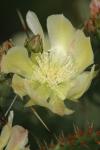 <img100*0:stuff/z/73640/spring%2520upload/i1263492815_35.jpg>