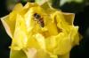 <img100*0:stuff/z/73640/spring%2520upload/i1263492815_36.jpg>