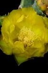 <img100*0:stuff/z/73640/spring%2520upload/i1263492815_37.jpg>
