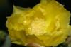 <img100*0:stuff/z/73640/spring%2520upload/i1263492815_38.jpg>