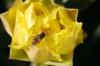 <img100*0:stuff/z/73640/spring%2520upload/i1263492815_40.jpg>