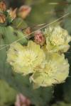 <img100*0:stuff/z/73640/spring%2520upload/i1263492815_41.jpg>