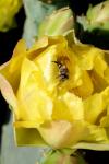 <img100*0:stuff/z/73640/spring%2520upload/i1263494721_1.jpg>