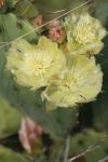 <img100*0:stuff/z/73640/spring%2520upload/i1263494721_2.jpg>