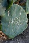 <img100*0:stuff/z/73640/spring%2520upload/i1263494721_3.jpg>