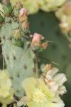 <img100*0:stuff/z/73640/spring%2520upload/i1263494721_5.jpg>
