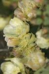 <img100*0:stuff/z/73640/spring%2520upload/i1263494722_10.jpg>