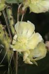 <img100*0:stuff/z/73640/spring%2520upload/i1263494722_11.jpg>