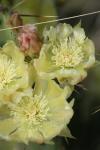 <img100*0:stuff/z/73640/spring%2520upload/i1263494722_12.jpg>