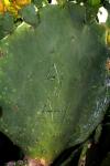 <img100*0:stuff/z/73640/spring%2520upload/i1263494722_14.jpg>