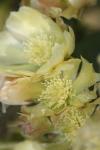 <img100*0:stuff/z/73640/spring%2520upload/i1263494722_15.jpg>