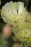 <img100*0:stuff/z/73640/spring%2520upload/i1263494722_16.jpg>