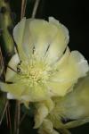 <img100*0:stuff/z/73640/spring%2520upload/i1263494722_17.jpg>
