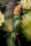 <img100*0:stuff/z/73640/spring%2520upload/i1263494722_18.jpg>
