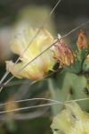 <img100*0:stuff/z/73640/spring%2520upload/i1263494722_19.jpg>