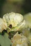 <img100*0:stuff/z/73640/spring%2520upload/i1263494722_20.jpg>